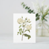 witte roos (Rosa campanulata alba) van Redouté Briefkaart (Staand voorkant)
