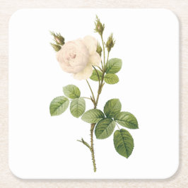 witte roos (Rosa campanulata alba) van Redouté Vierkante Kartonnen Onderzetter