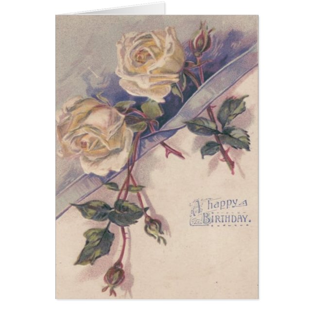 Witte Roos Rozen Bloemen (Voorkant)