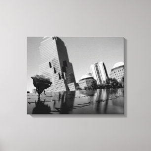 Witte roos ter nagedachtenis canvas afdruk