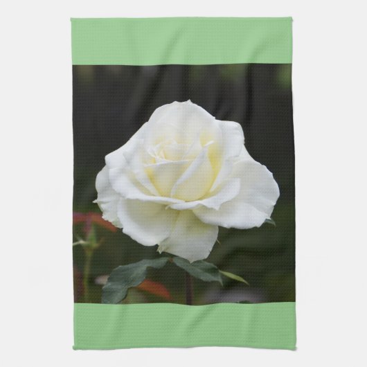 Witte roos theedoek (Verticaal)