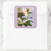 Witte Roos Vierkante Sticker (Tas)