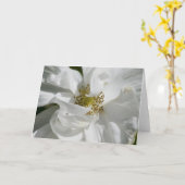 Witte Rosa Lege Kaart (Gele Bloem)