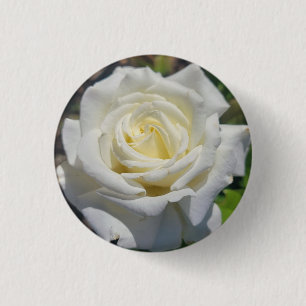 Witte Rose Button