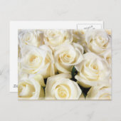 Witte Rose Elegantie Briefkaart (Voorkant / Achterkant)