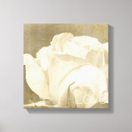 Witte Rose Liefde Canvas Afdruk (Voorkant)