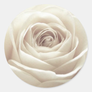 witte Rose Ronde Sticker