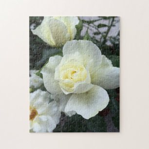 Witte Rose Tuin Foto Legpuzzel