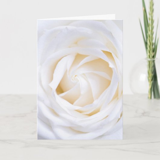 "WITTE ROSE" WENSKAART KAART (Voorkant)