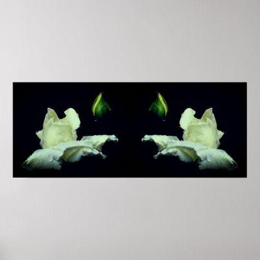 Witte Rosebud Flower Mirror Abstract Poster (Voorkant)