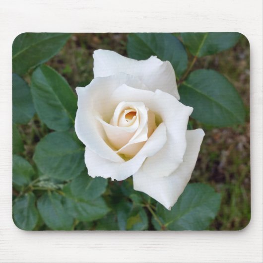 witte rosebud muismat (Voorkant)