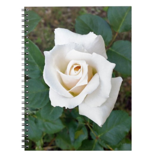 witte rosebud notitieboek (Voorkant)