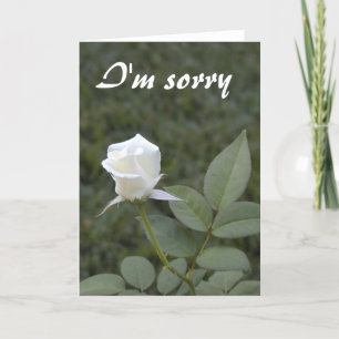 Witte Rosebud verontschuldigingskaart Kaart