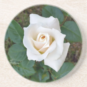 witte rosebud zandsteen onderzetter