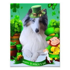 Witte Rough Collie viert St. Patrick's Day Foto Afdruk