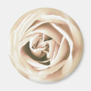 Witte roze druk magneet