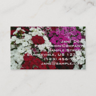 Witte, Roze en Rode Anjer Bloemen Visitekaartje
