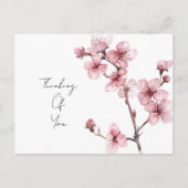 Witte Roze Kersenbloesem Bloem Briefkaart (Voorkant)