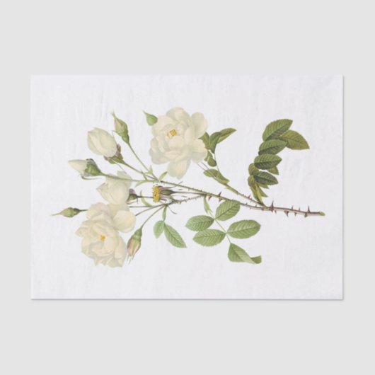  witte rozen #2 bloemen tissuepapier (Voorkant)