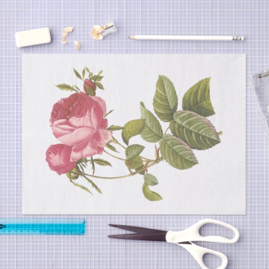 witte rozen #3 bloemen tissuepapier (Craft)