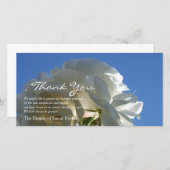 Witte Rozen Blauwe Lucht 3 Sympathie Bedankkaart (Voorkant / Achterkant)