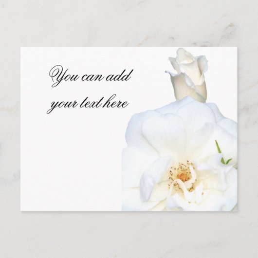 Witte rozen_ briefkaart (Voorkant)