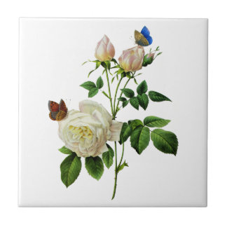 Witte rozen en vlinders door Redoute Tegeltje