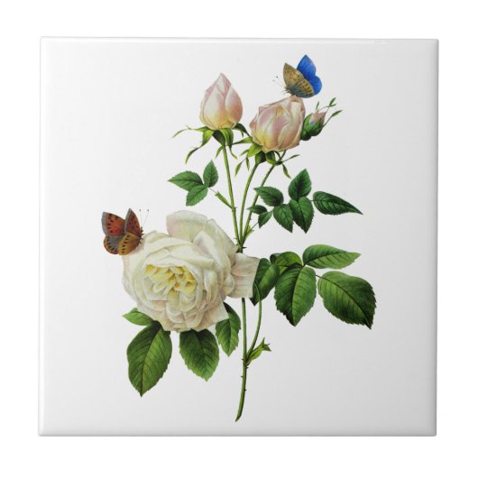 Witte rozen en vlinders door Redoute Tegeltje (Voorkant)