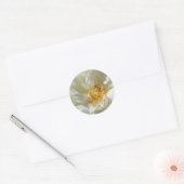 Witte rozen en zon - Trekkers Ronde Sticker (Envelop)