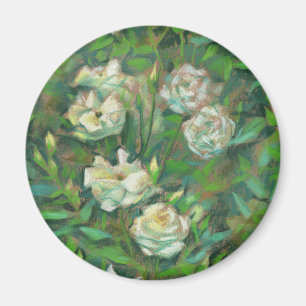 Witte rozen, groene bladeren, mooie bloemen magneet