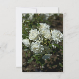 witte rozen notitiekaartje