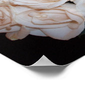 Witte rozen poster (Hoek)