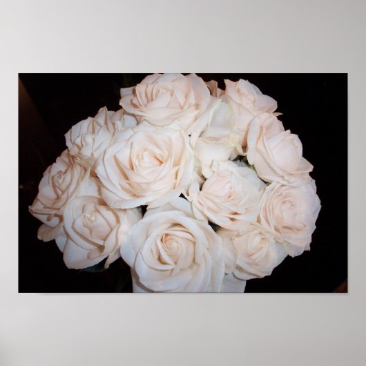 Witte rozen poster (Voorkant)
