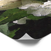 Witte rozen poster (Hoek)