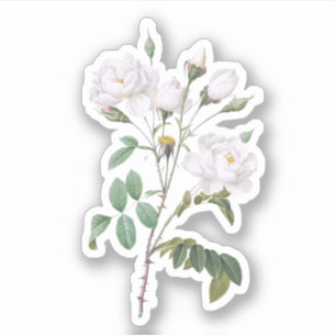  witte rozen sticker