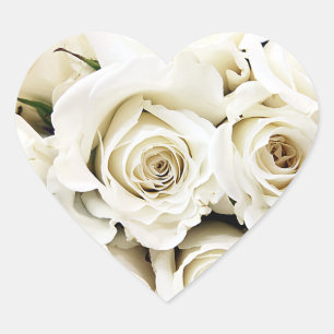 Witte rozen Stickers