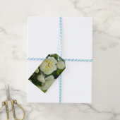 Witte rozen voor positieve uitslag cadeaulabel (Met Touw)