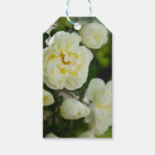 Witte rozen voor positieve uitslag cadeaulabel (Voorkant)