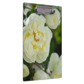 Witte rozen voor positieve uitslag klembord (Rechts)