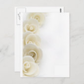 witte rozenachtergrond briefkaart (Voorkant / Achterkant)