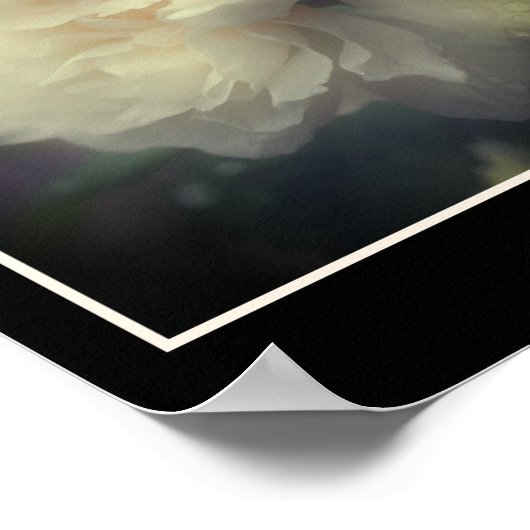 Witte rozenbloem in Bloom Mirror Abstract Poster (Hoek)