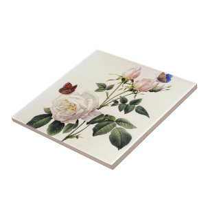 witte rozenbloemen, Pierre Joseph Redouté Tegeltje