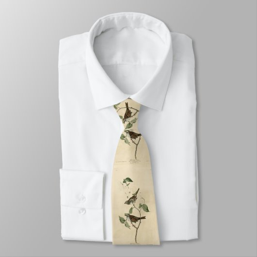 Witte ruggengraat, Amerikaanse vogels van Audubon Stropdas (Gebonden)