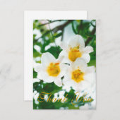 Witte rustieke lelies - Lilium candidum Bedankkaart (Voorkant / Achterkant)