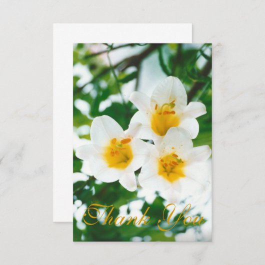 Witte rustieke lelies - Lilium candidum Bedankkaart (Voorkant / Achterkant)