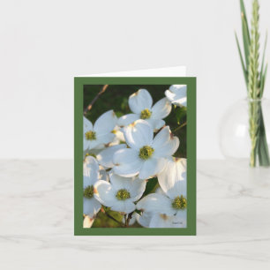 Witte (Ruwe) Kornoelje Kaart