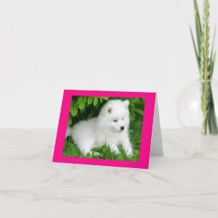 Witte Samoyed Puppie Hond Witte Notitiekaart