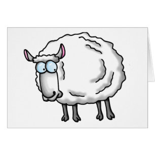 Witte schapen