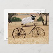 Witte schapen briefkaart (Voorkant / Achterkant)