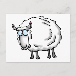 Witte schapen briefkaart